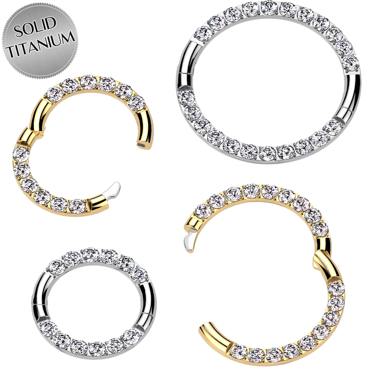 16G Implant Grade Titanium CZ Double Row Hoop Segment Ring